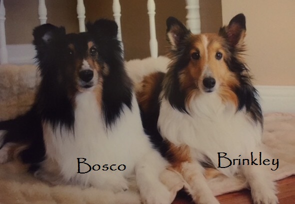 Bosco and Brinkley